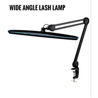 LASH LAMPS