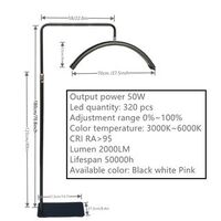 Moon Light -