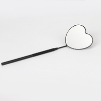 Lash Mirror