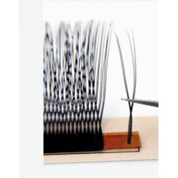 Double Classic | U Lash